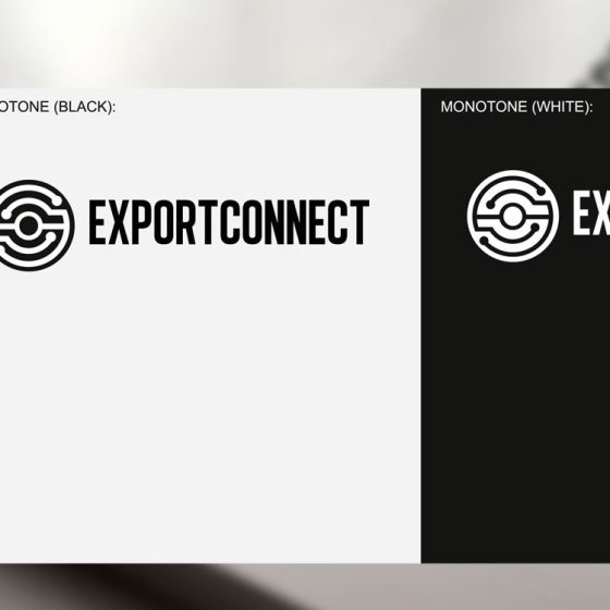 ExportConnect